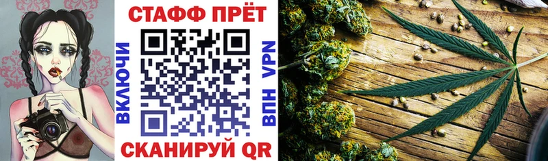 Где купить Грязовец ГАШИШ  Бошки Шишки  Alpha PVP  Мефедрон  Псилоцибиновые грибы  Метадон  КОКАИН 