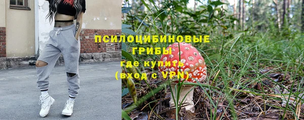 эйфоретик Алзамай