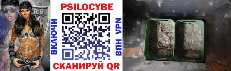 Псилоцибиновые грибы мухоморы  Грязовец 